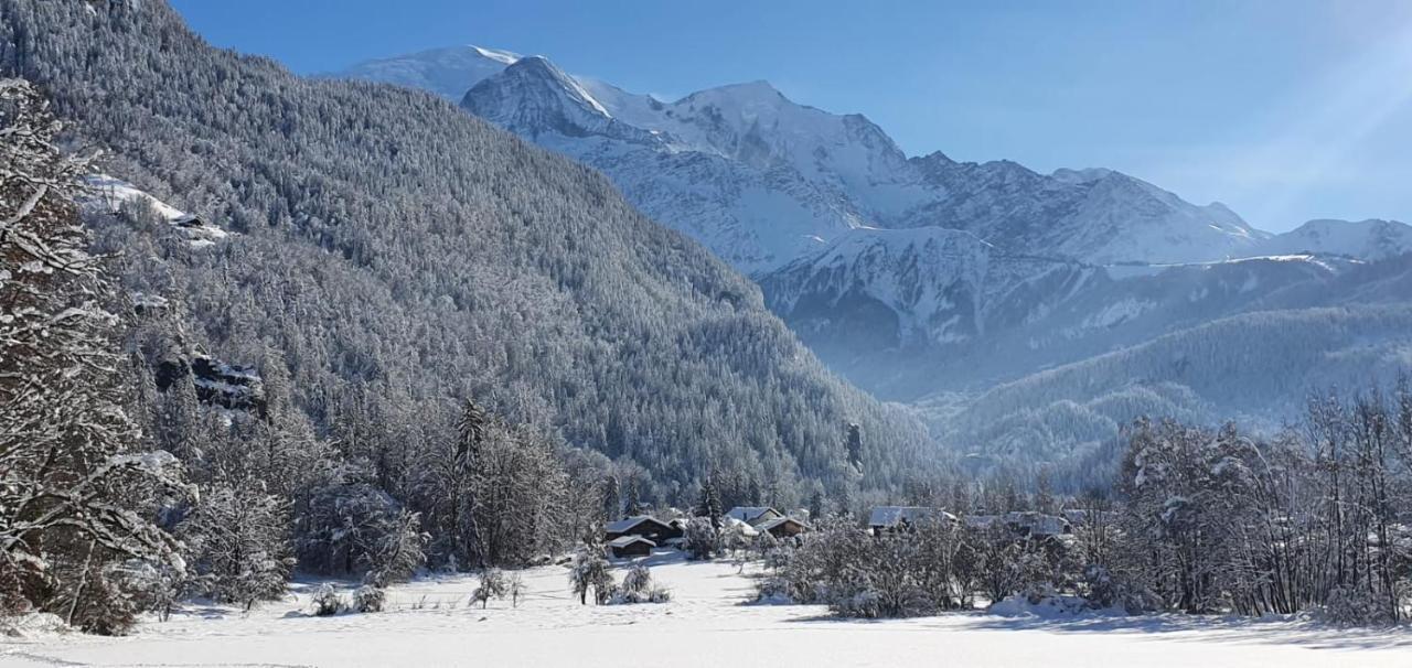 Magnifique Chalet Dans La Vallee De Chamonix Серво Екстериор снимка